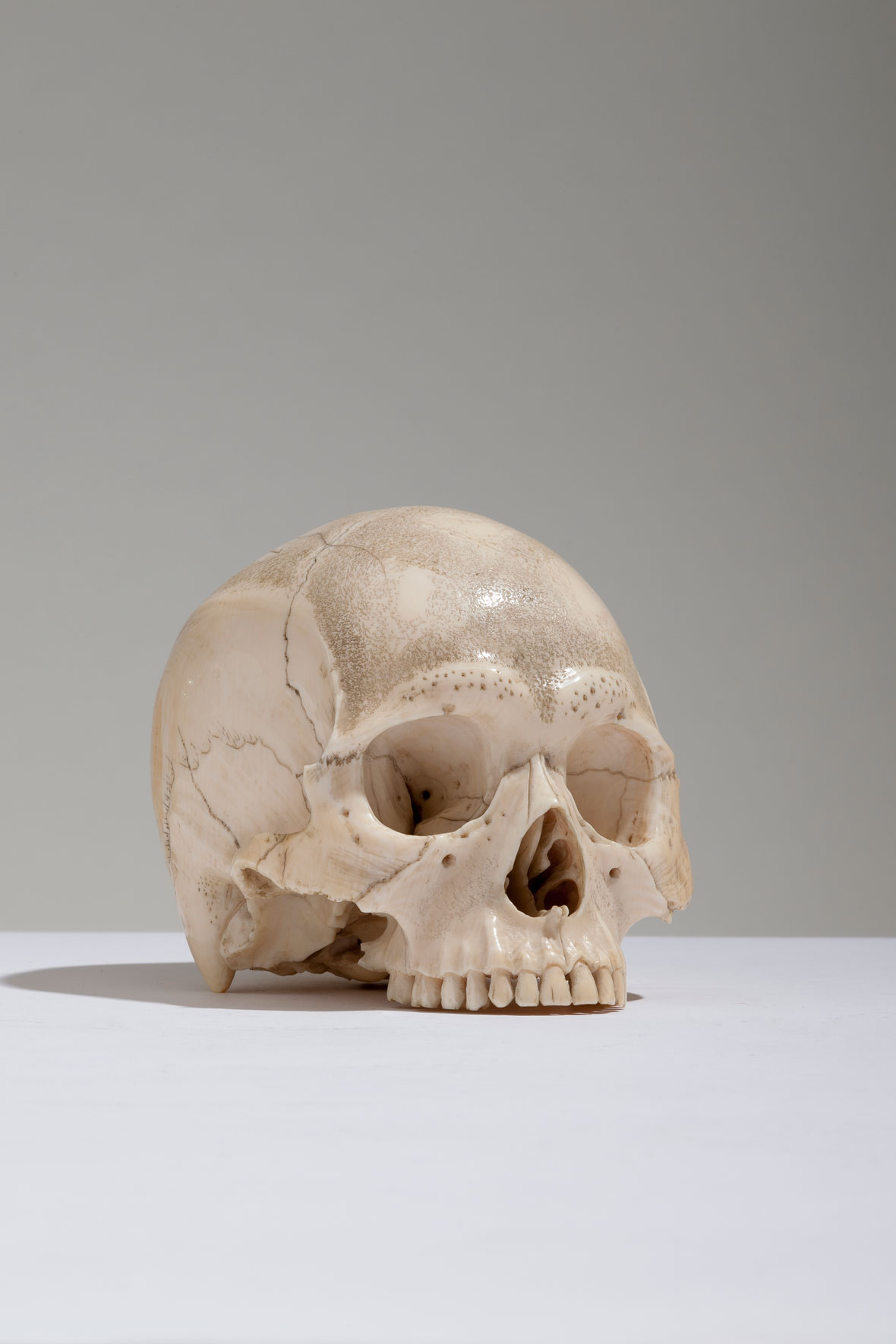 Japanese Ivory Skull by Shosai